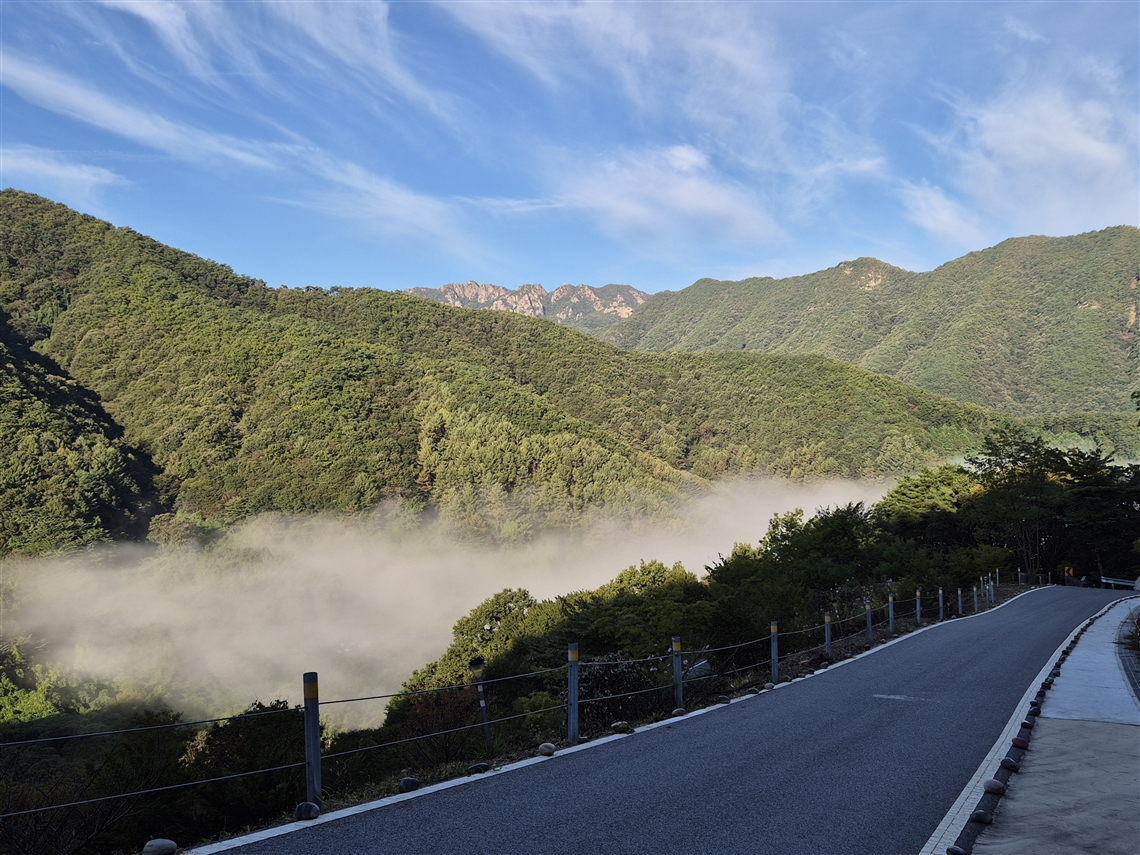 월명동 힐링코스 성령길 풍경 - 봄 벚꽃부터 가을 단풍까지 사계절 아름다운 산자락