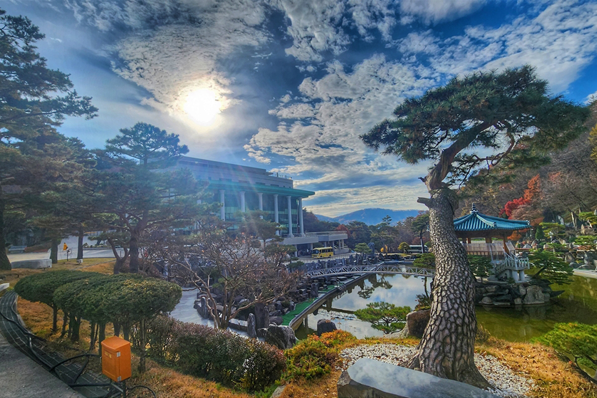 소나무 숲과 어우러진 월명동 자연성전 월명호의 자연 경관