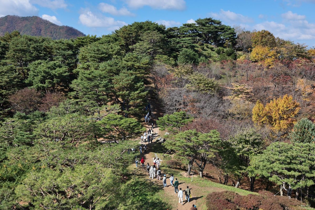 숲속 산책로를 따라 걷는 사람들이 보이는 월명동 자연성전 풍경