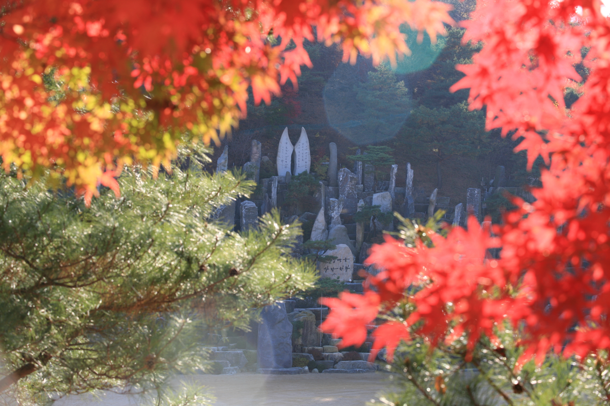 붉은 단풍이 둘러싼 월명동 자연성전 야심작의 가을 풍경