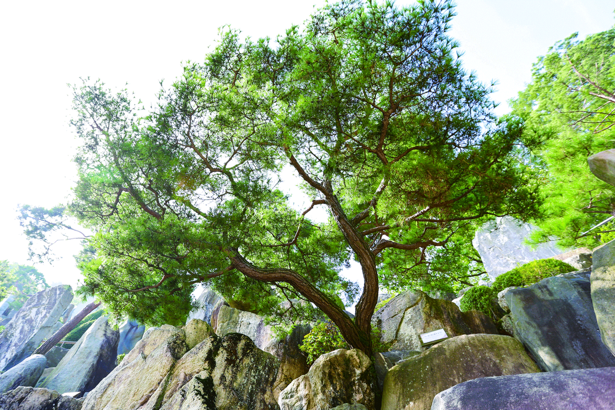제1폭포 여섯 계단 폭포수 - 선녀탕처럼 아름다운 자연폭포